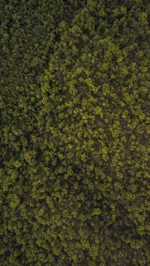 吃瓜不打烊截图3